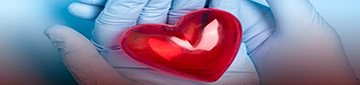 Exames Cardiológicos
